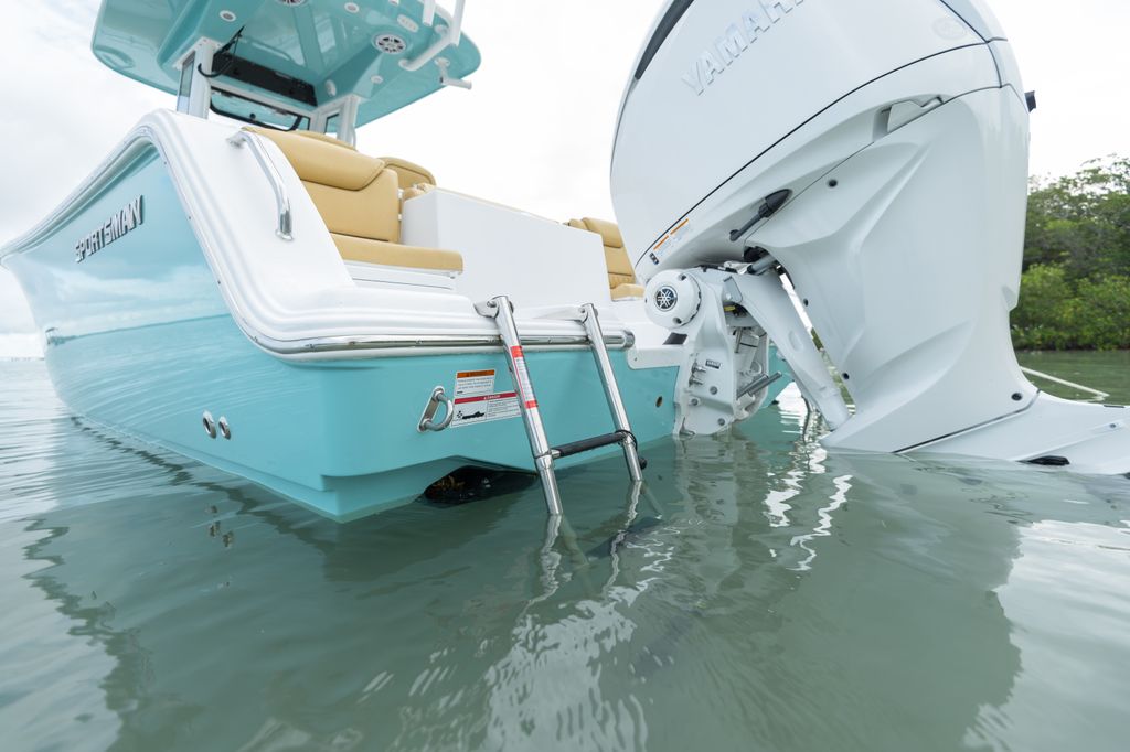 Detail image of Twin Boarding Ladders