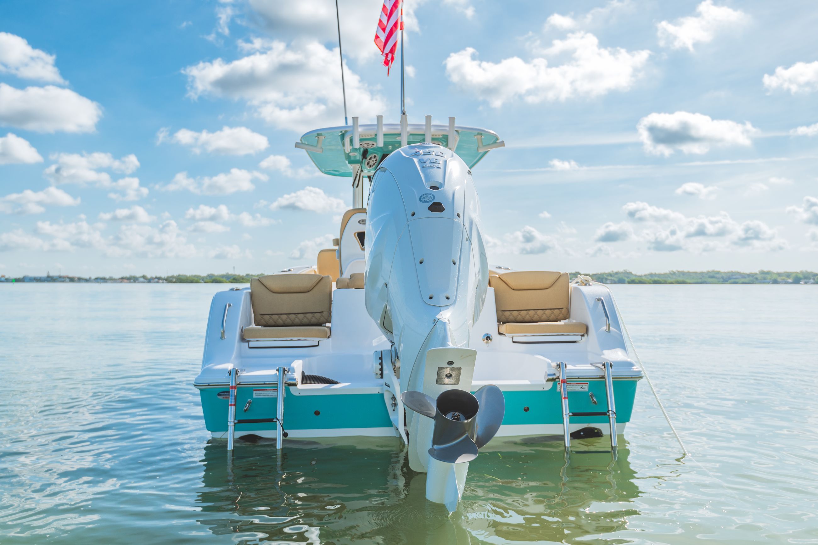 Detail image of Aft-Facing Rear Seats & Transom Walk-Through