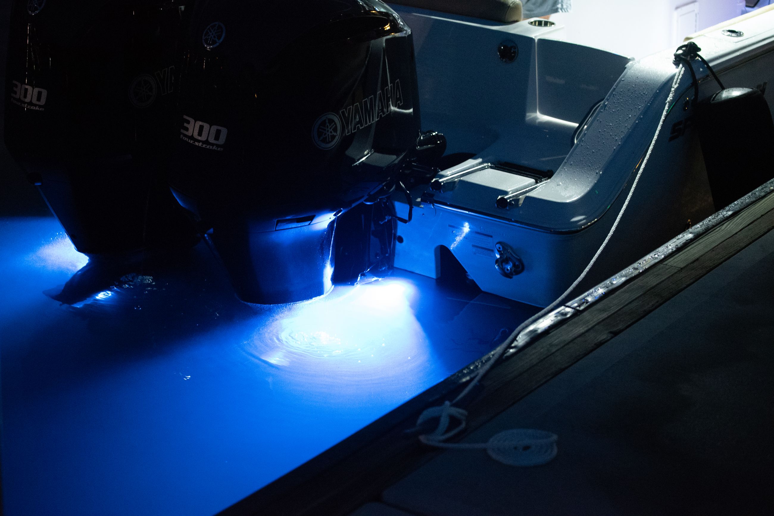 Detail image of Underwater Lights