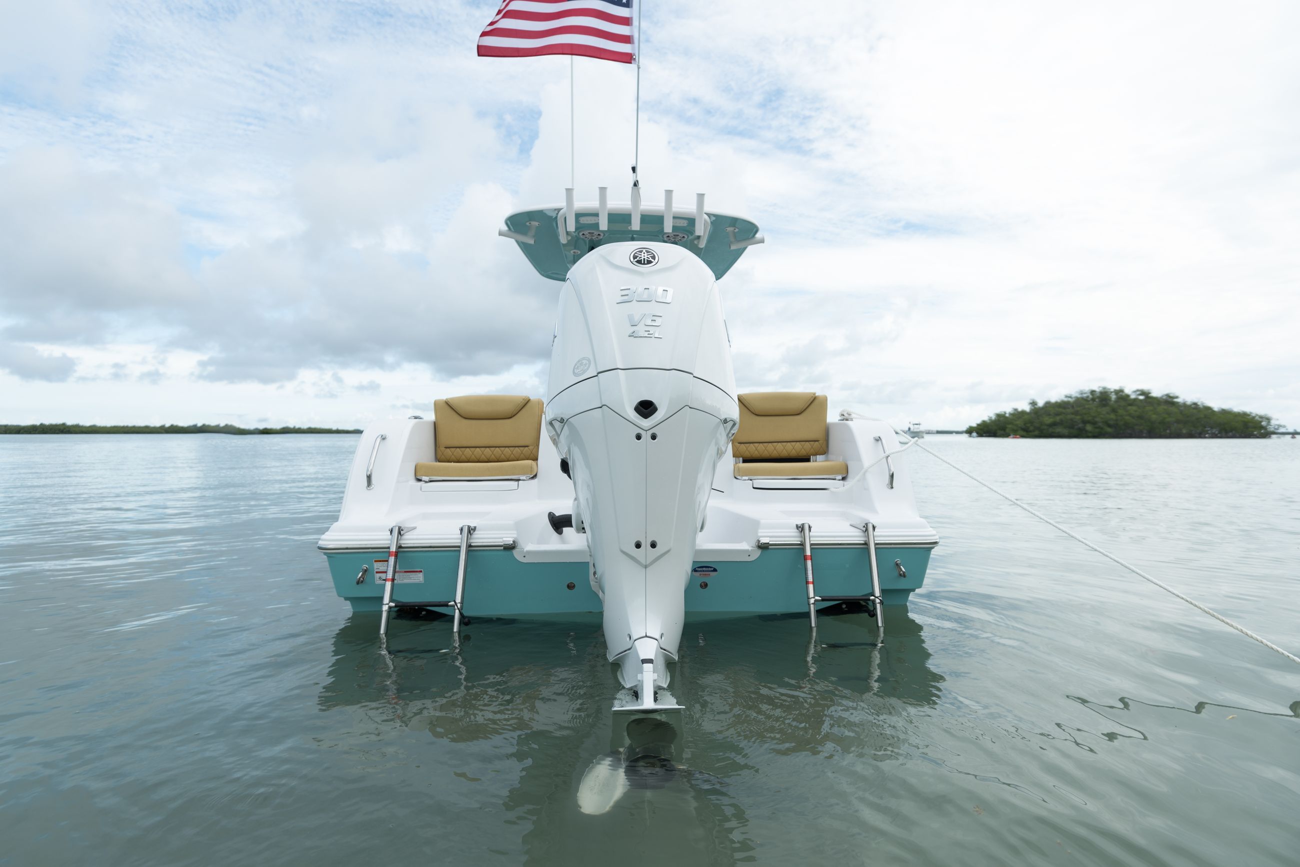 Detail image of Aft-Facing Rear Seats & Transom Walk-Through