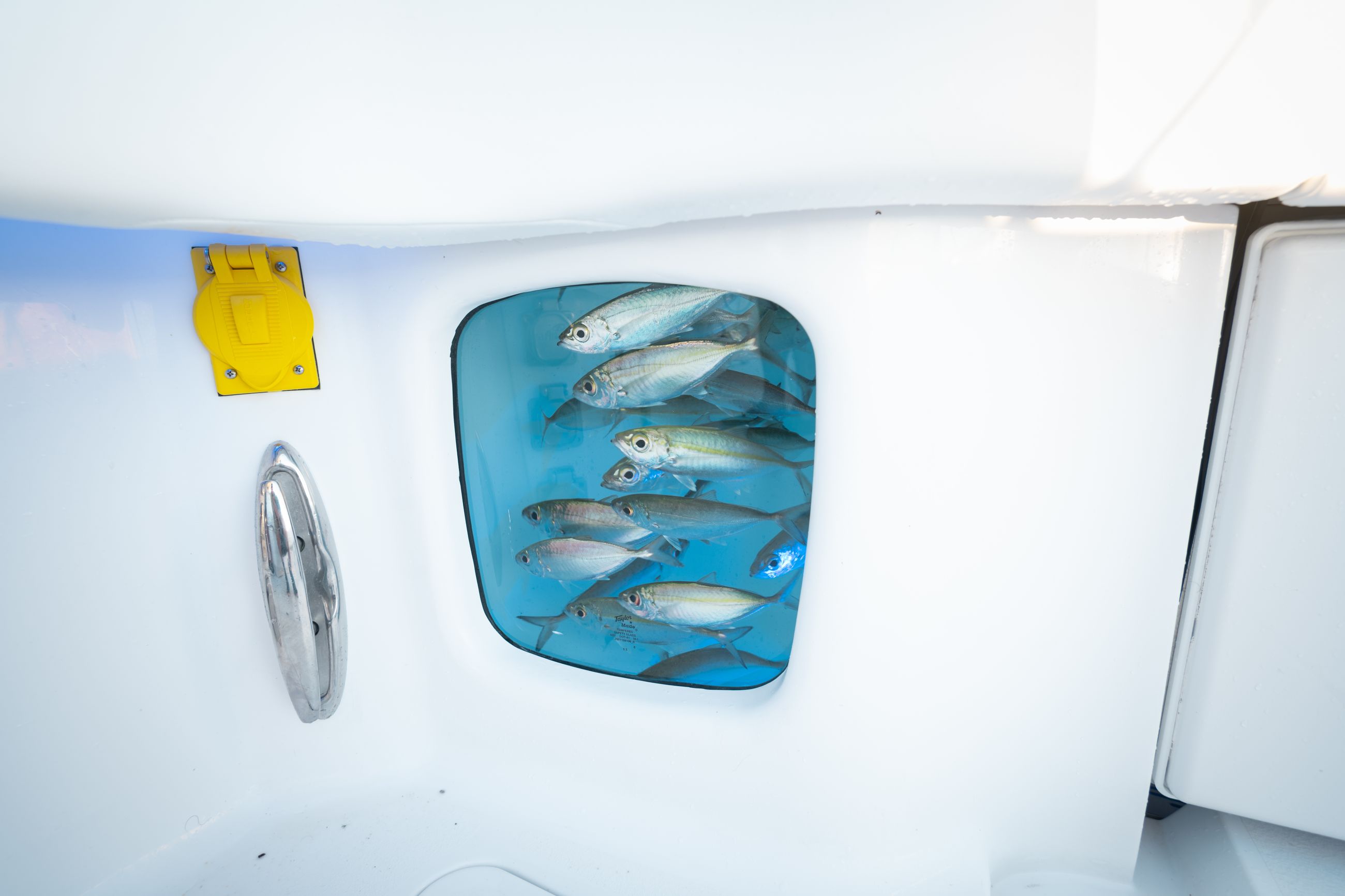 Large detail image of the Automatic Pressurized Aquarium Livewells